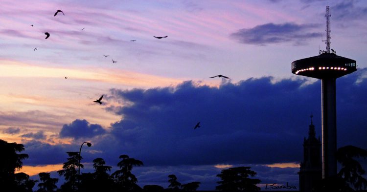 Puesta de sol en Madrid (Fuente: Luis Sarabia / Flickr)