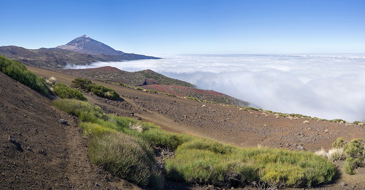 Vistas del Parque Nacional de Las Cañadas del Teide, Islas Canarias