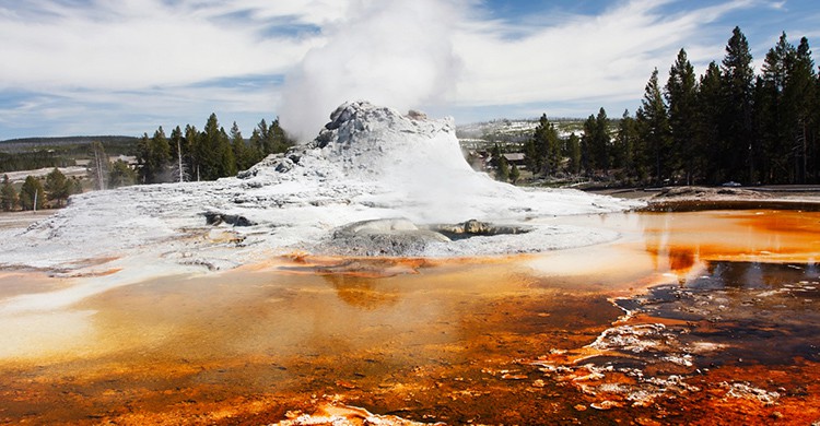 Castle Geyser, Yellowstone Park
