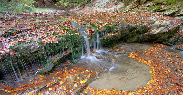 Cascada en la Selva de Irati, Navarra