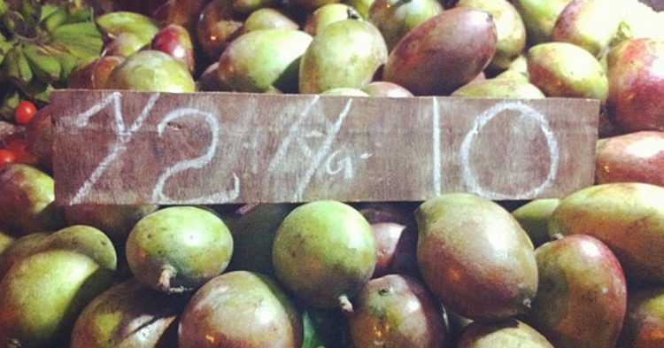 La India es la mayor productora de mango (Fuente: Nat Ireland / Flickr)