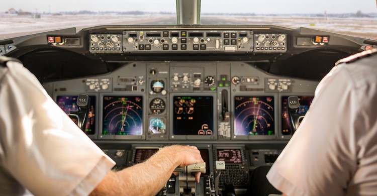 choque de pajaro con avion