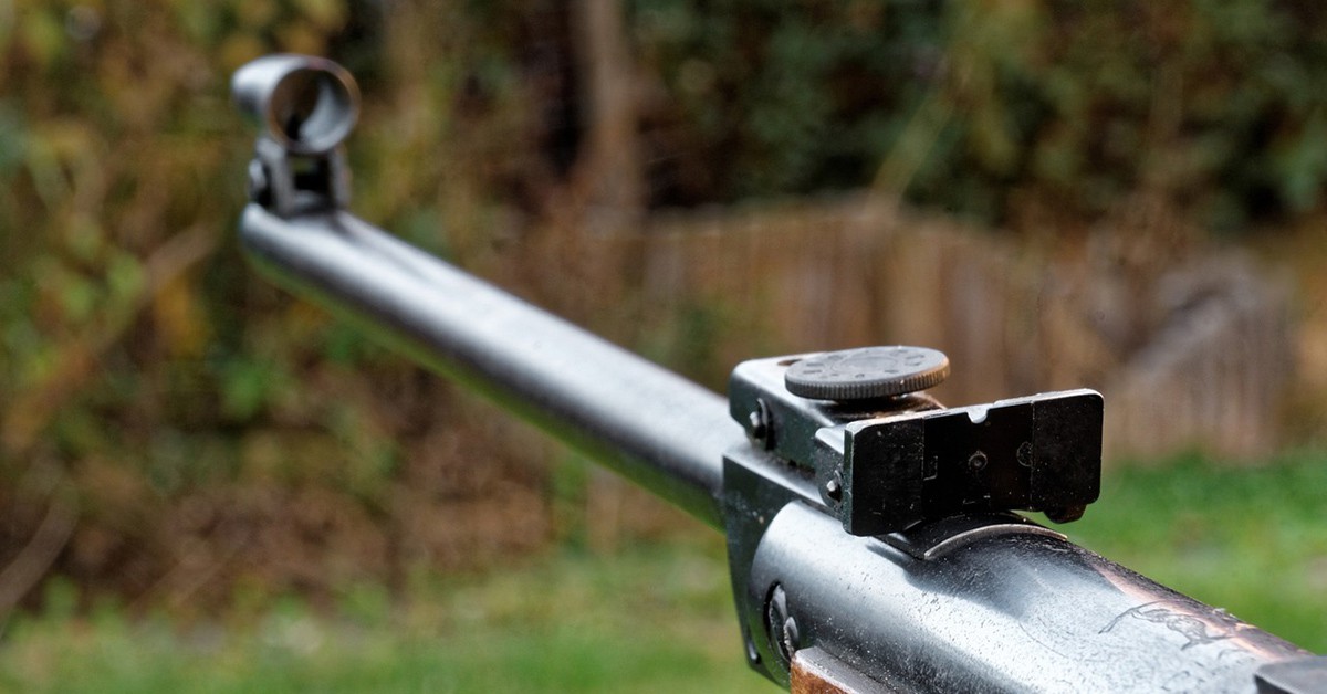 Un rifle en un bosque