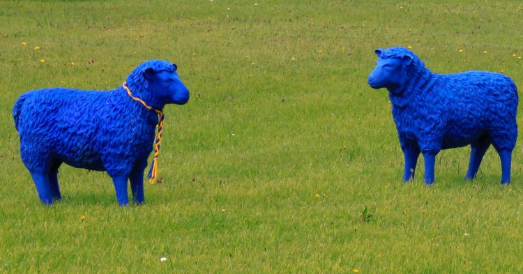 Irlanda, un destino perfecto como au pair (Fuente: Oli Bac / Flickr)