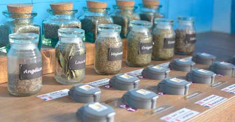4. Museo de los aromas (Santa Cruz de la Salceda, Burgos)