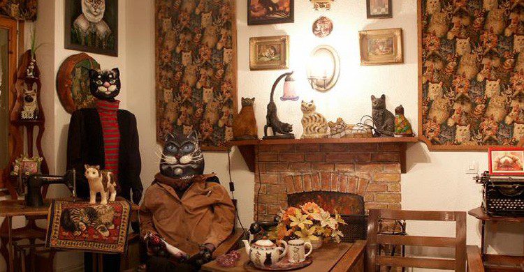 Detalle friki del Museo Casa de Gatos (Fuente: Facebook Museo Casa de Gatos)