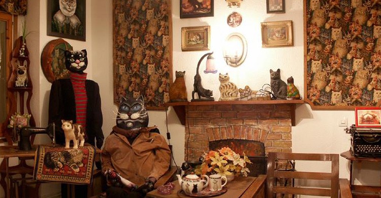 5. Museo Casa de Gatos (Lloret de Mar, Girona)