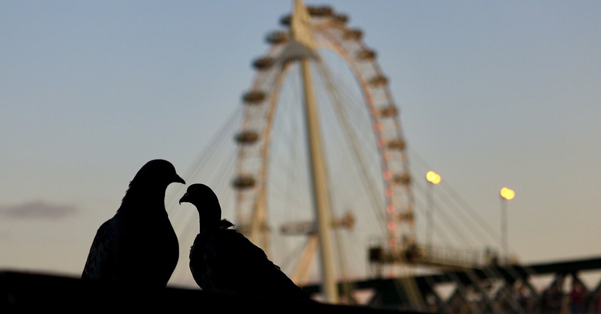8 curiosidades sobre el London Eye