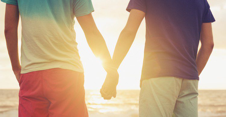 planes para el puente de la almudena