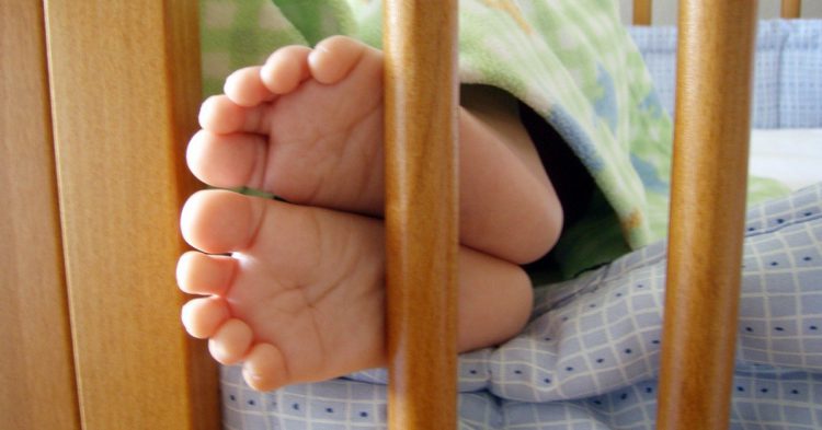 Las ventajas de ser el 'canguro' de referencia (Fuente: Daniel Lobo / Flickr)