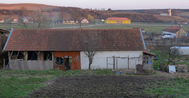 El wwoofing empezó en Inglaterra y se ha expandido a todo el mundo (Fuente: adrienblanc / Flickr)
