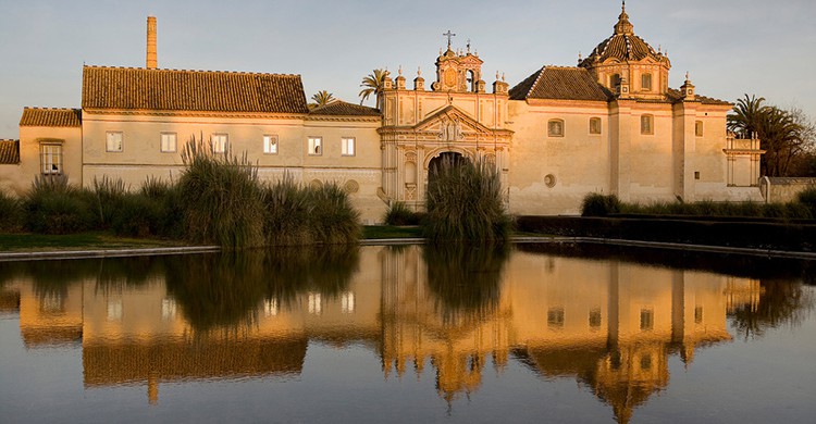 Cartuja de Santa María de la Cuevas, sede del Centro Andaluz de Arte Contemporáneo de Sevilla