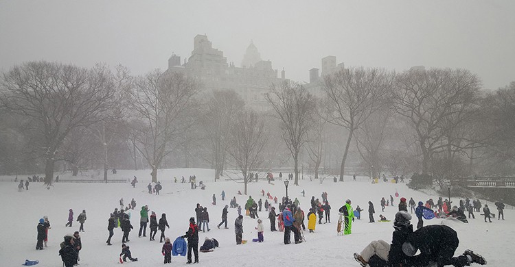 Patinadores sobre hielo en Central Park, Nueva York