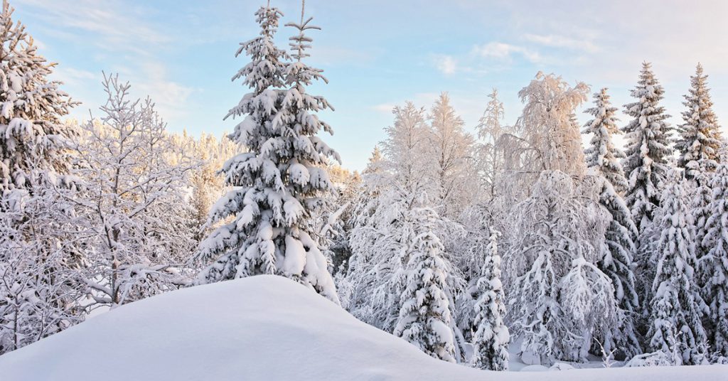 Sigue leyendo 7 paisajes que el invierno ha transformado