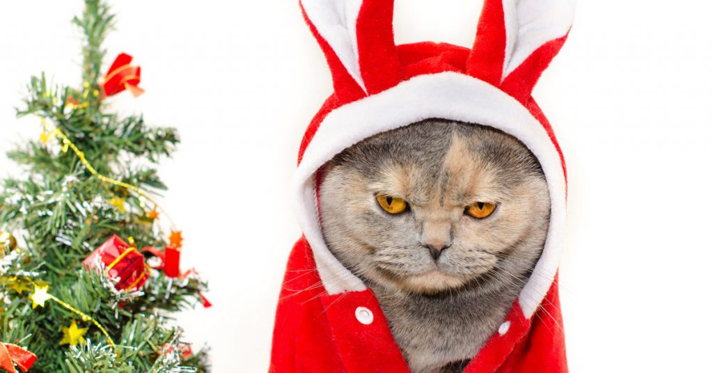 Sigue leyendo 10 cosas de las que te arrepientes después de la Navidad