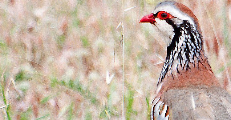 Una perdid aún sin marearse (Fuente: JR xpo / Flickr)