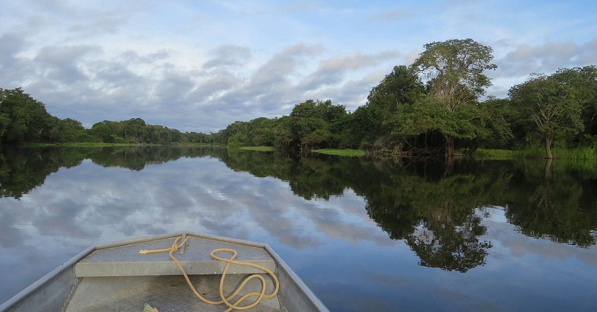 Un río de la Selva Amazónica
