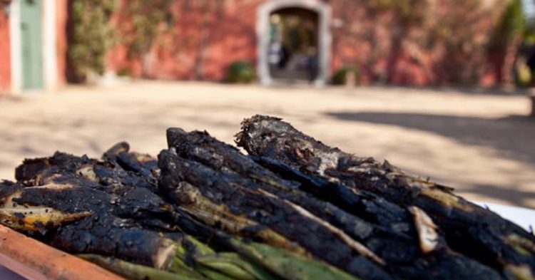 El recomendabilísimo Hotel La Boella en Tarragona (Fuente: laboella.com)