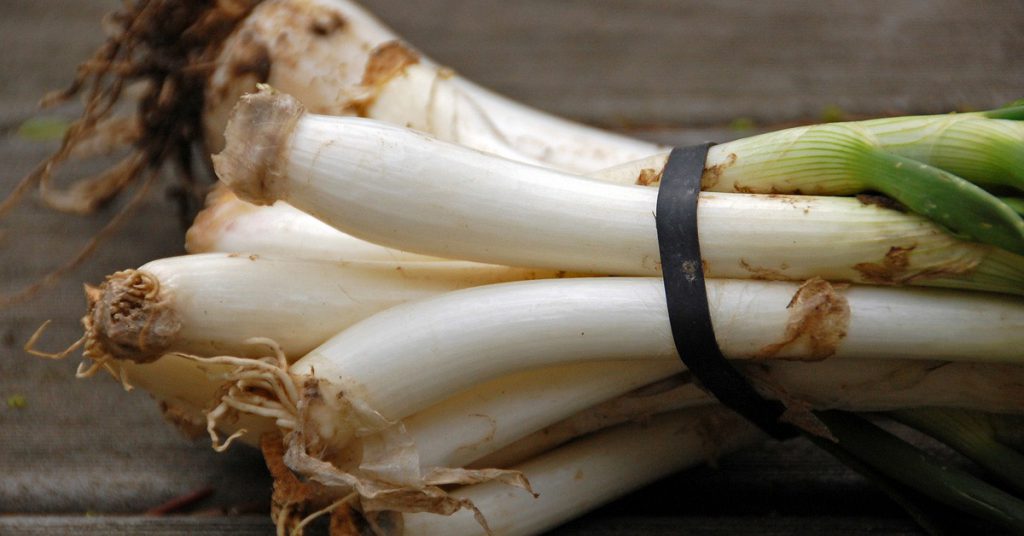 Sigue leyendo Los 7 lugares donde comer los mejores calçots