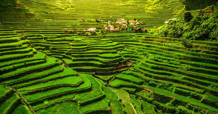 Terrazas, Filipinas.