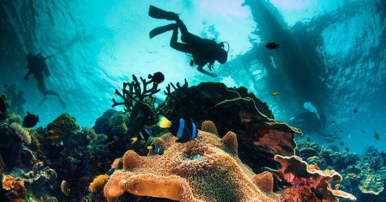 Submarinismo en Filipinas (iStock)