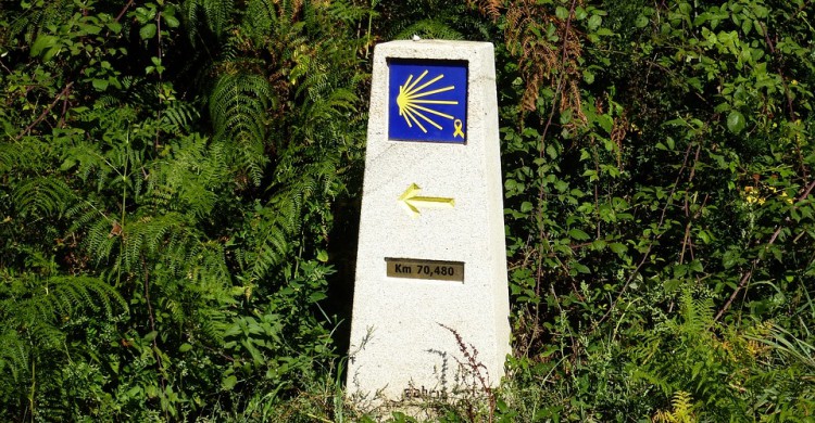 Camino de Santiago