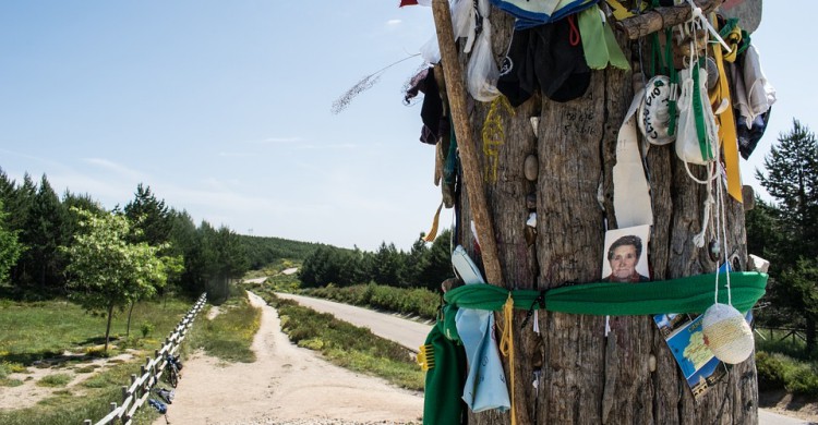 Camino de Santiago