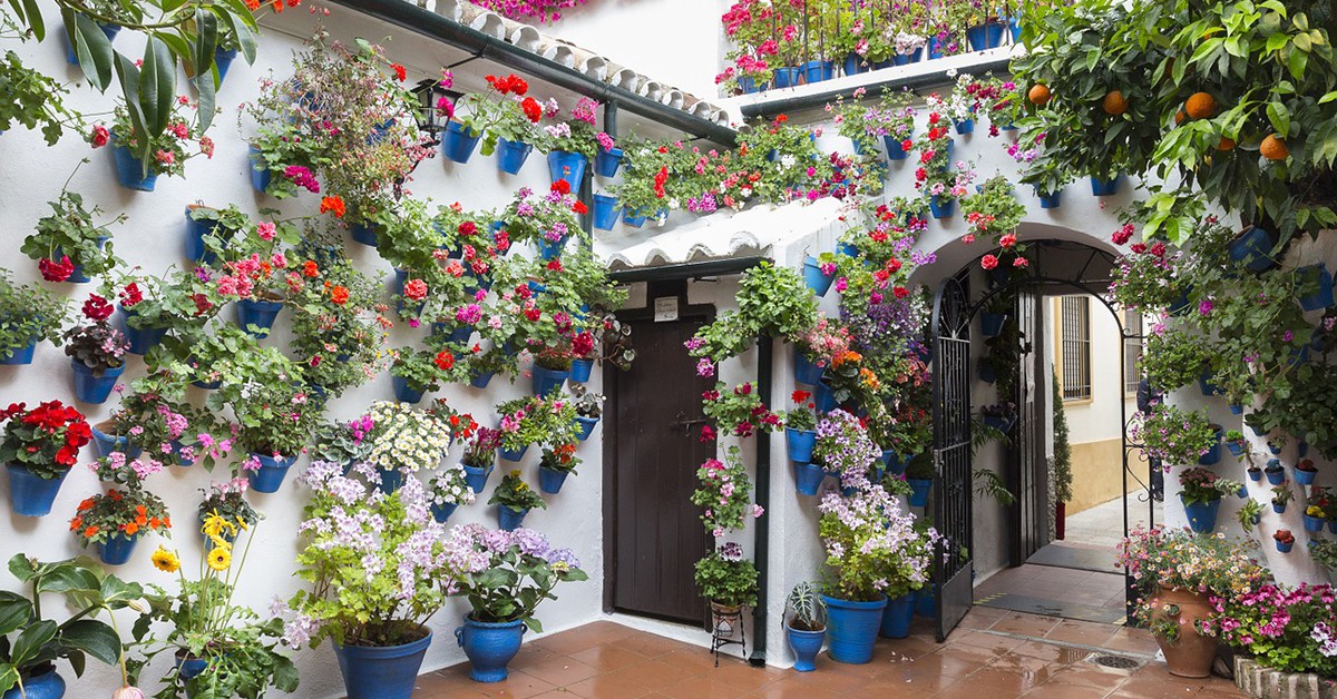Patios con flores en Córdoba