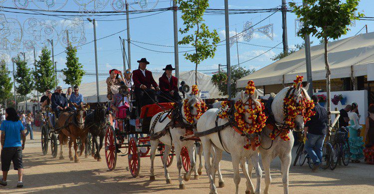 No te pierdas un paseo a caballo en la Feria de Córdoba (Fuente: SK / Flickr)