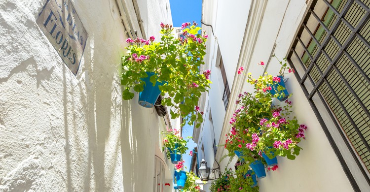patios de cordoba