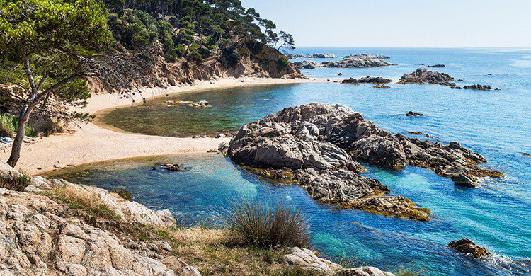 Cala Estreta, Palamós