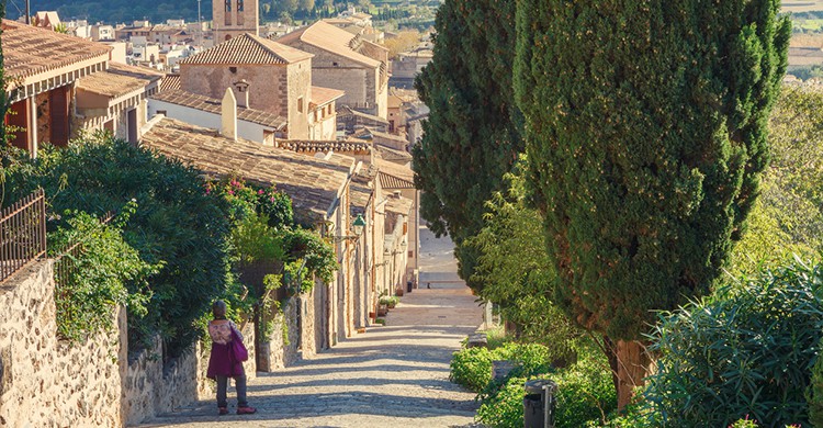 Una calle de Pollença