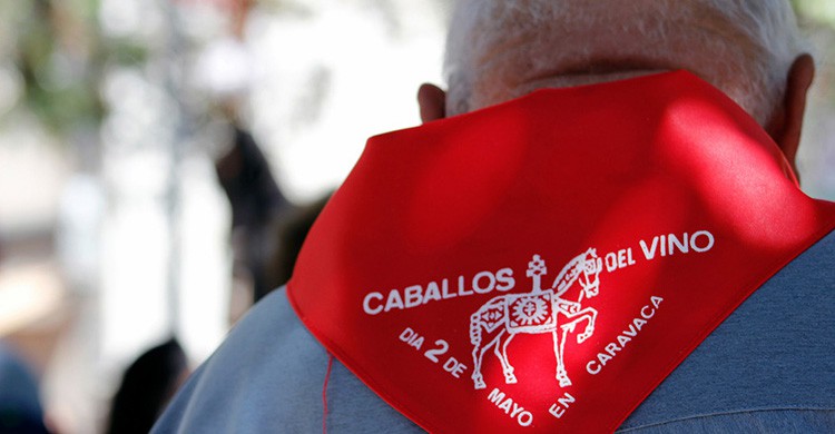 La fiesta de los Caballos del Vino