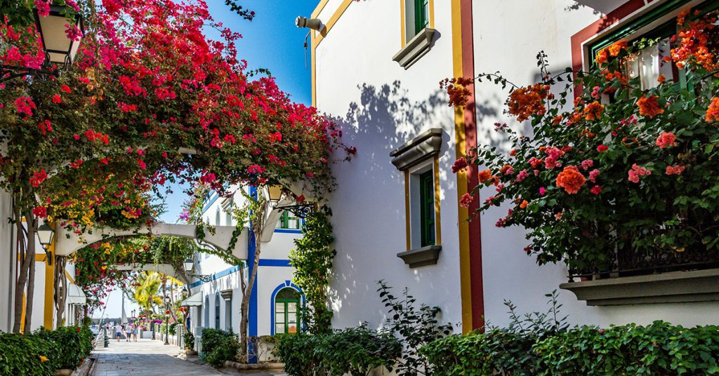 Foto Puerto de Mogán