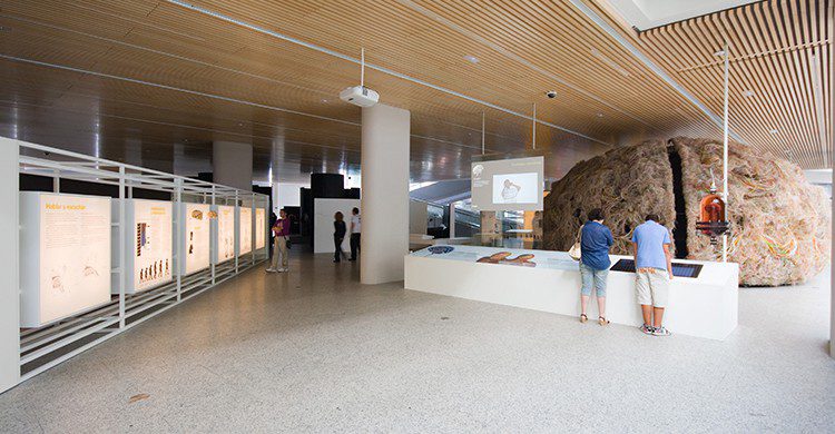 Museo de la Evolución Humana