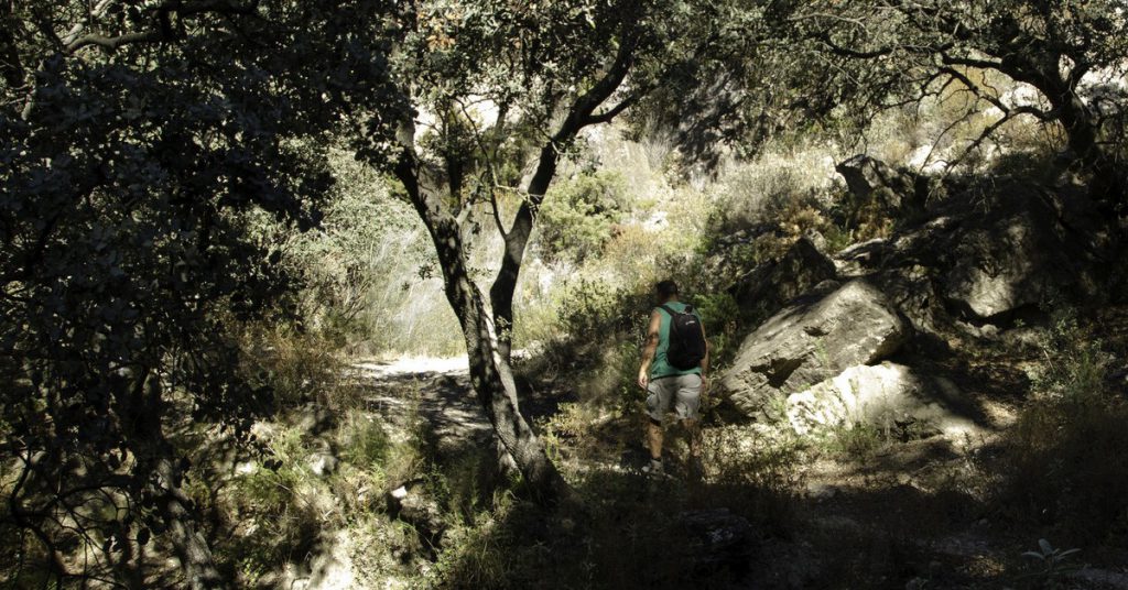 Sigue leyendo El Saltillo: La versión gratuita del Caminito del Rey