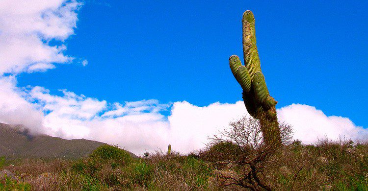 Llegando a los Andes buscado a la madre de Marco (Fuente: Daniel Melgarejo / Flickr)