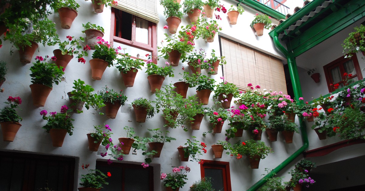 fiesta de los patios