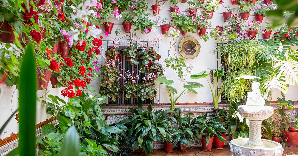 patios cordobeses mas bonitos