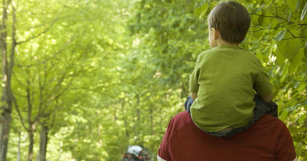 Sigue leyendo Los 8 mejores parques naturales de Europa