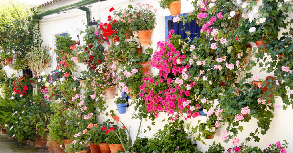 Sigue leyendo Los 5 patios más bonitos de Córdoba que debes ver