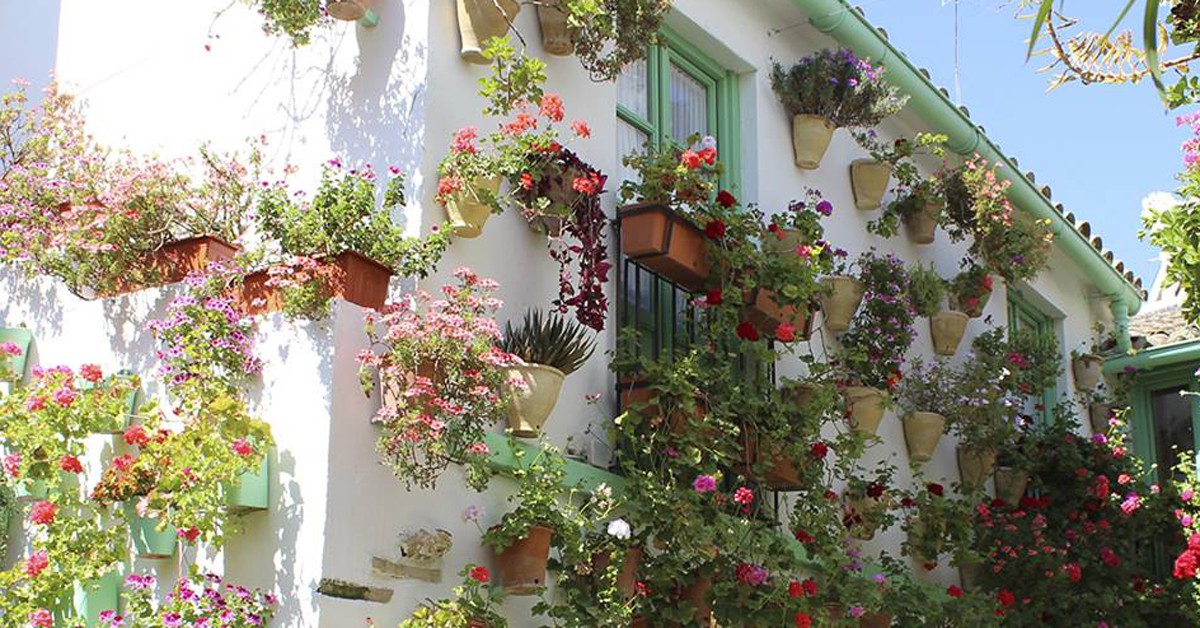 patios de san basilio
