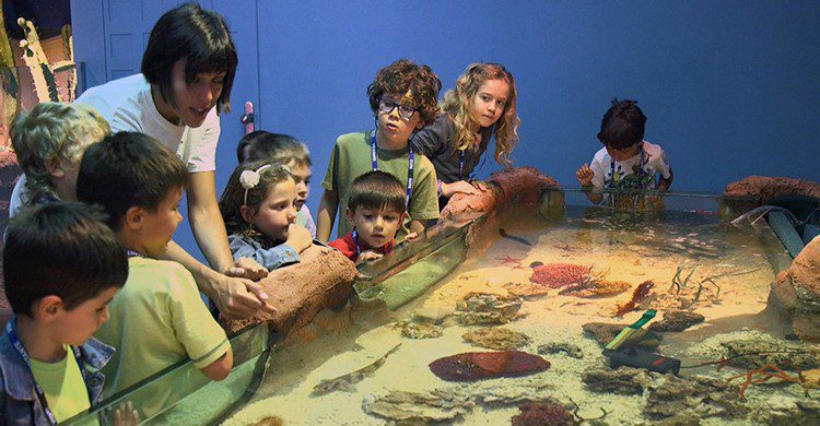 Niños en el Museo de Ciencia Eureka!
