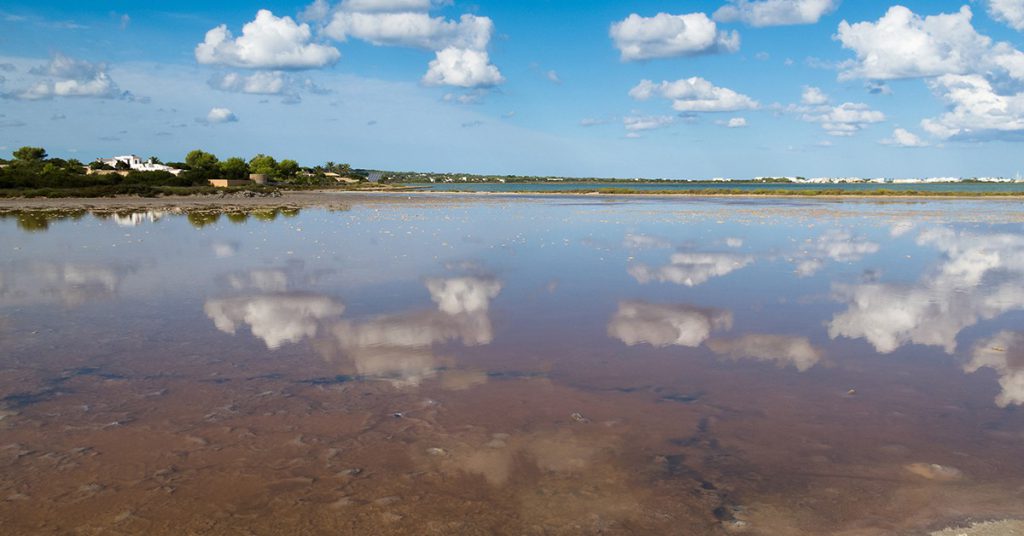 Foto salinas