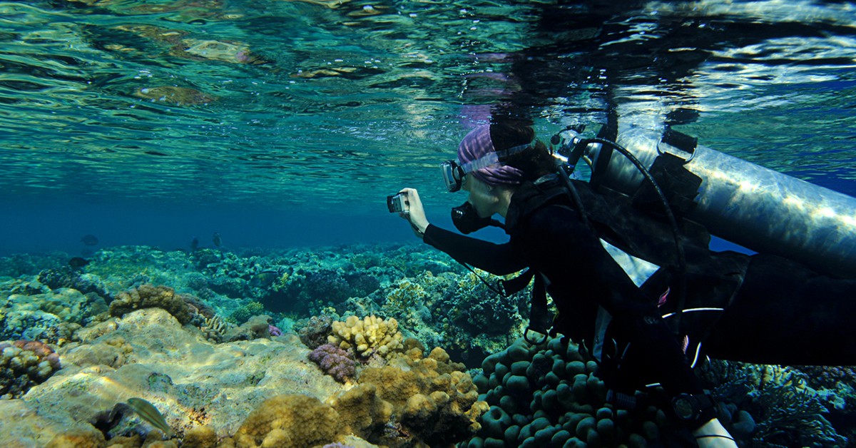 Un buceador explora el fondo marino