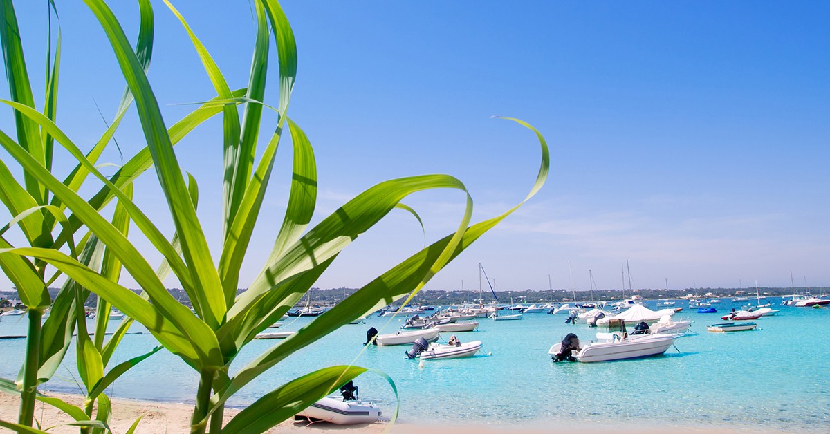 Estany des Peix en Formentera