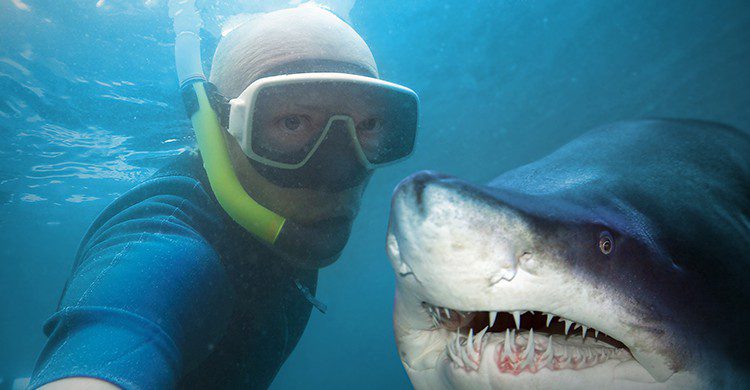 Las personas han dejado atrás el miedo al peligro solo por coger los mejores selfies (iStock)