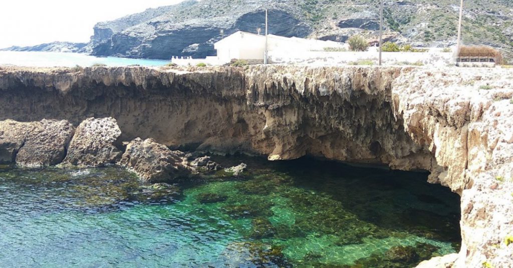 imagencalaflores