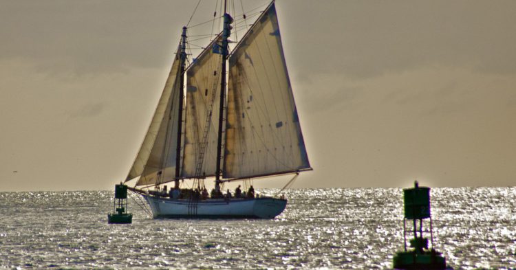 Las mejores fiestas en barco al otro lado del Atlántico se viven en Miami (Fuente: Ed Yourdon / Flickr)