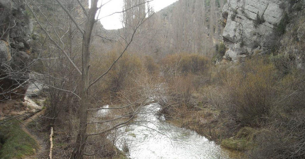 Sigue leyendo Descubre la ruta del río Ebrón en Teruel